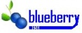 Blueberry.656 Logo.jpg